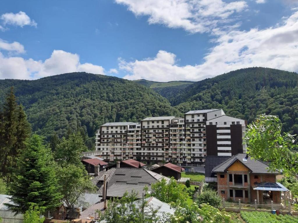 Апартаменты Ioana'S Apartament Синая Экстерьер фото